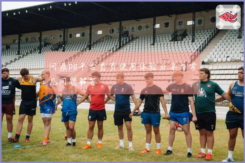 问鼎pg平台首页使用体验分享与常见问题解答