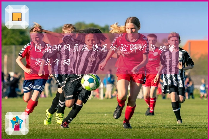 问鼎pg网页版使用体验解析与功能亮点介绍
